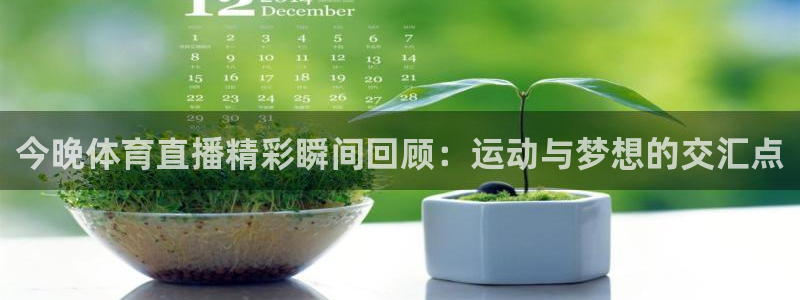 【88看球】官网：今晚体育直播精彩瞬间回顾：运动与梦想的交汇点