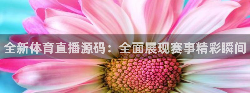88看球在线直播观看：全新体育直播源码：全面展现赛事精彩瞬间