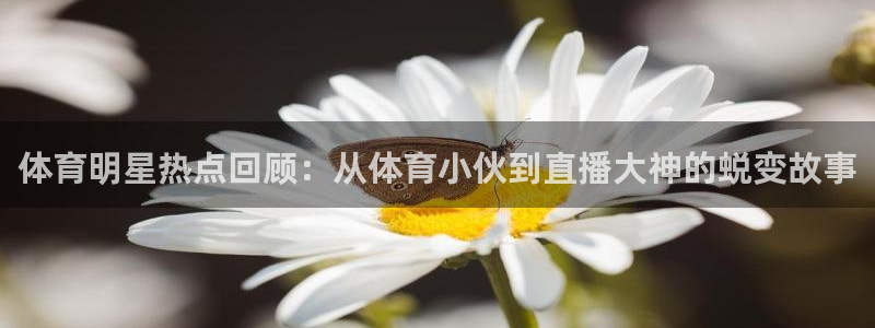 88看球官网下载：体育明星热点回顾：从体育小伙到直播大神的蜕变故事