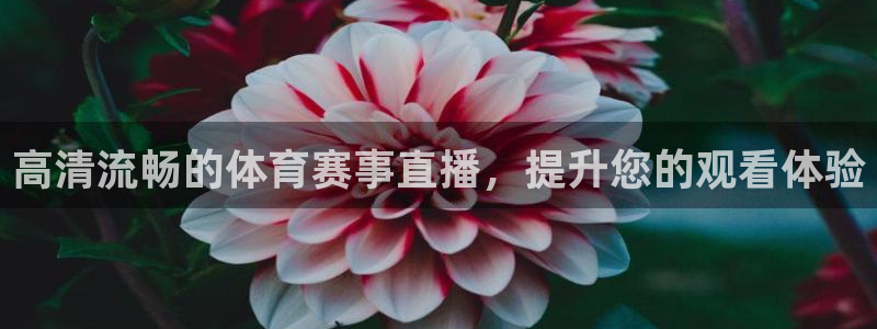 88看球在线直播jrs：高清流畅的体育赛事直播，提升您的观看体验