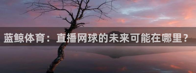 88看球免费直播官网：蓝鲸体育：直播网球的未来可能在哪里？
